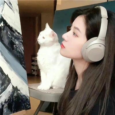 红丝绒海报