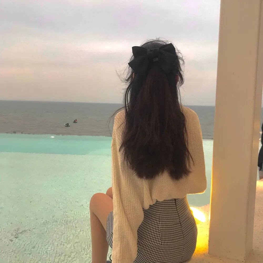 双面特工海报